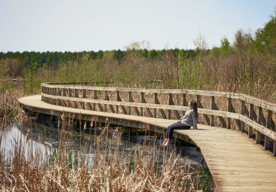 Image principale / couverture : Personnes relaxant dans un parc au coucher du soleil, respirant profondément pour diminuer le stress.